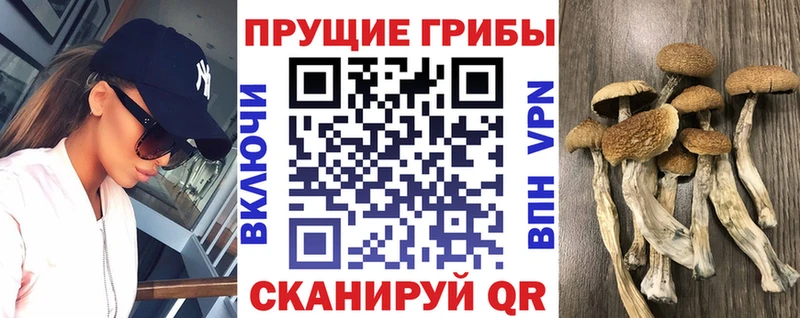Галлюциногенные грибы мухоморы  как найти   omg ссылка  Ипатово 